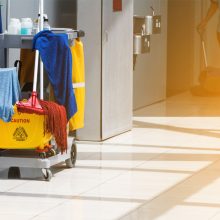 janitorial services