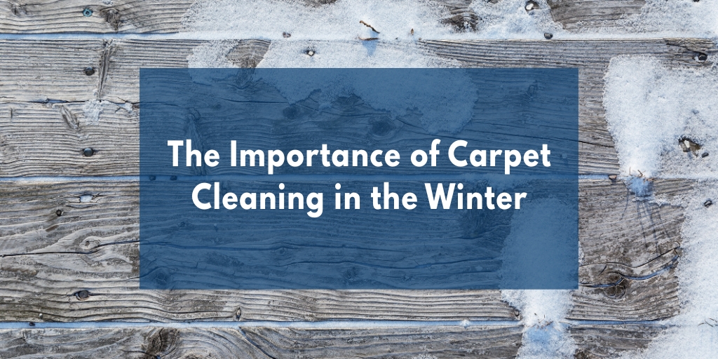 The Importance of Carpet Cleaning in the Winter picture